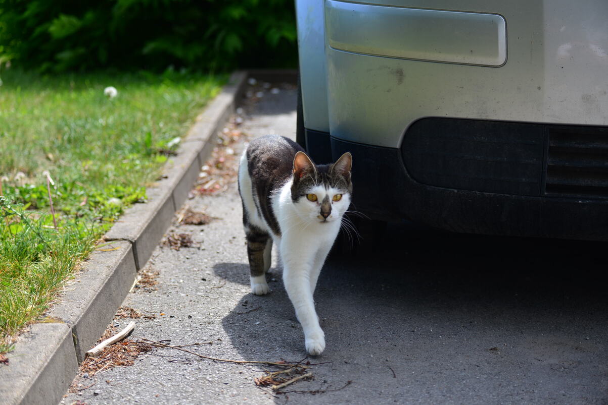 DSC_2150.JPG