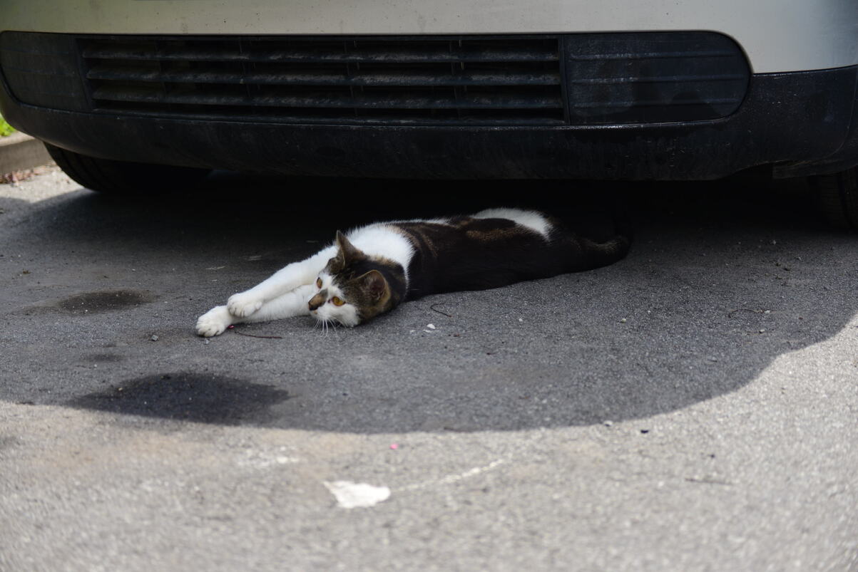 DSC_2189.JPG