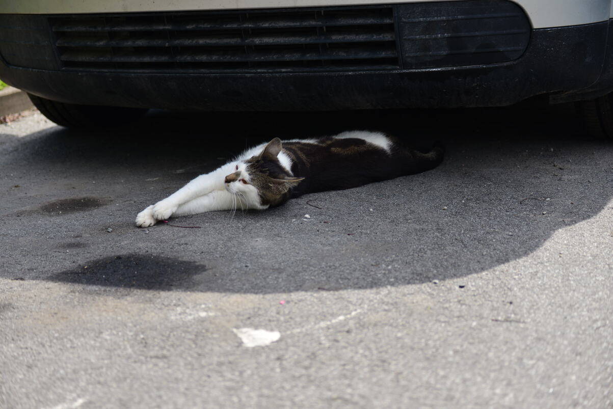 DSC_2191.JPG