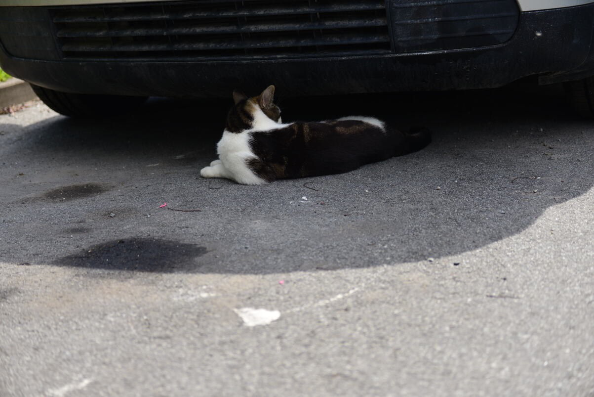 DSC_2193.JPG