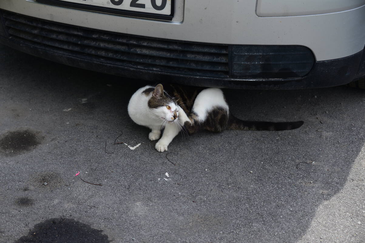 DSC_2202.JPG
