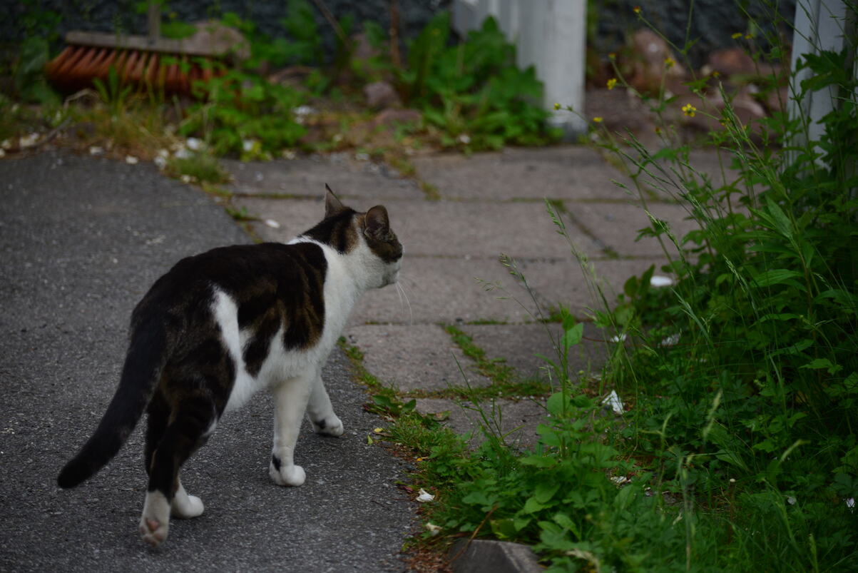 DSC_2204.JPG