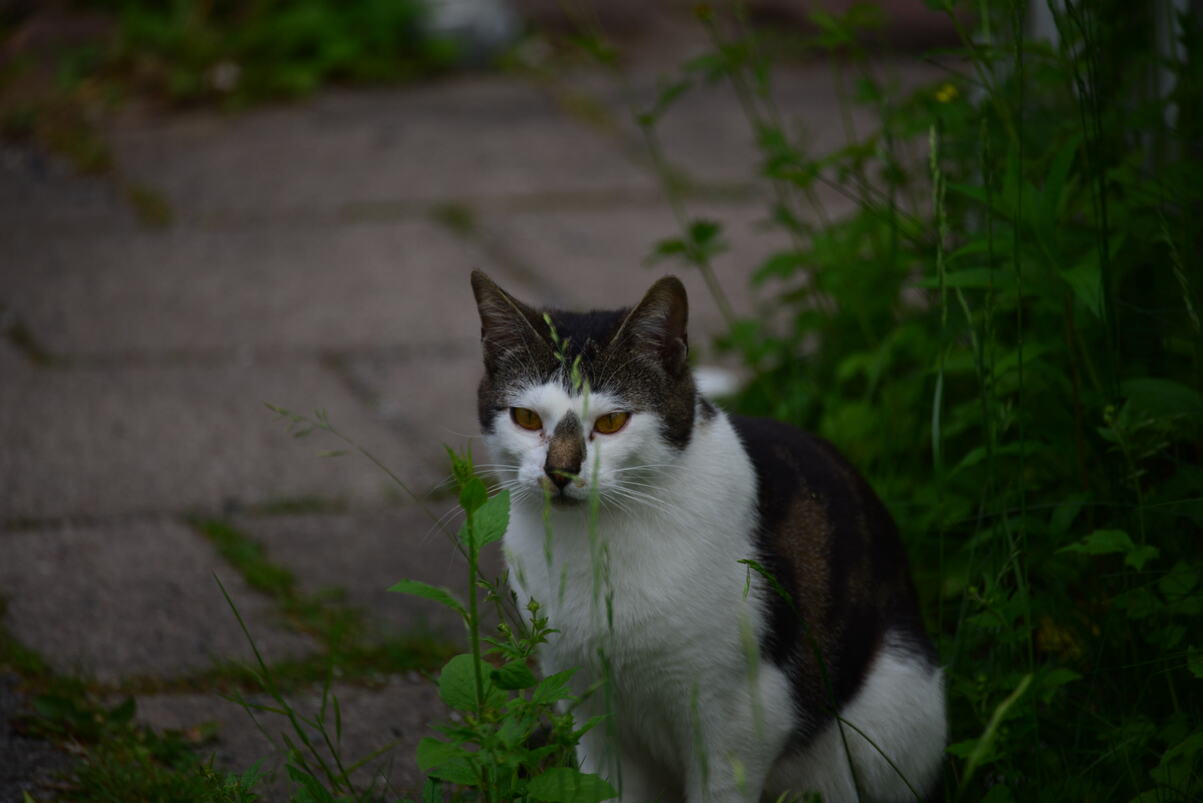 DSC_2214.JPG